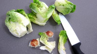 Ricotta en croquettes au citron vert - 3.3