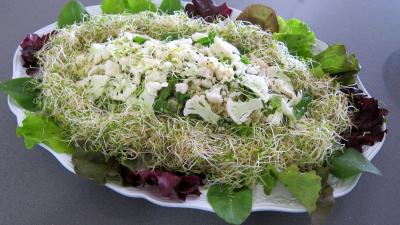 Recette Couscous, légumes, fines herbes et gambas