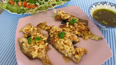 salade : Assiette de limandes et sa salade de pousses de bambou et graines germées