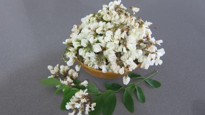 Photo : fleur acacia