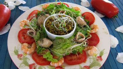 encornet : Assiette de salade tiède de poisson