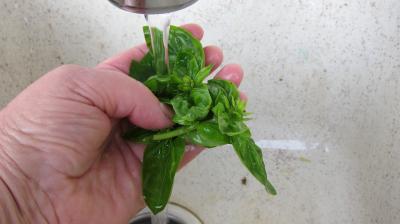 Salade haricots beurre du jardin - 1.3
