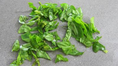 Salade haricots beurre du jardin - 2.1