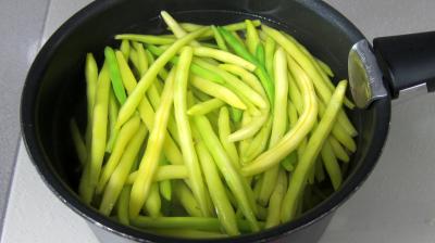 Salade haricots beurre du jardin - 6.1