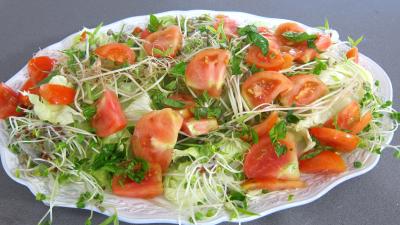 Salade haricots beurre du jardin - 7.1