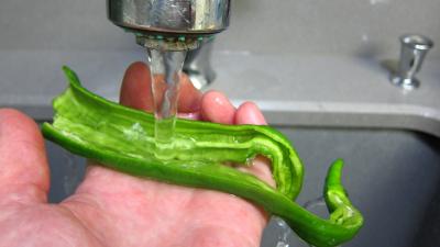 Crème de courgette en amuse-bouche - 3.1