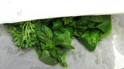 Gazpacho andalou aux poivrons verts - 3.1