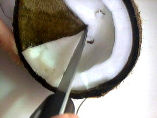 Punch à la noix de coco - 6.1
