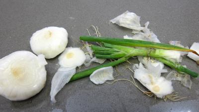Soupe à l'oseille - 3.3