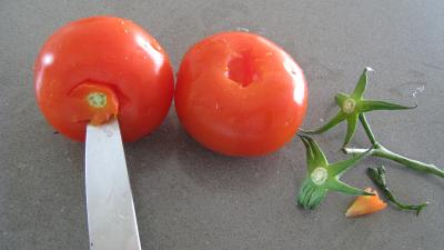 Conserves de ratatouille du jardin - 6.4