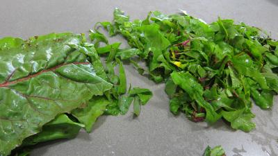 Conserve de ragoût de blettes et d'oseille au basilic - 4.2