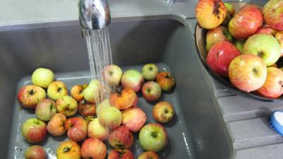 Gelée de pommes à la rhubarbe - 2.3