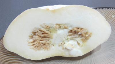 pâtisson