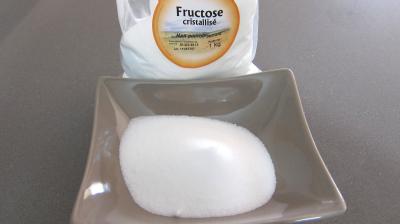 Photo : ramequin de sucre fructose