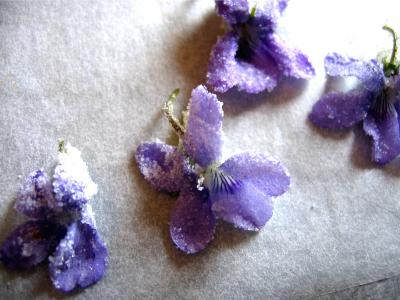 Fleurs cristallisées - 4.2