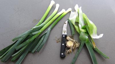 Bouillon de légumes à l'oignon rouge - 1.1