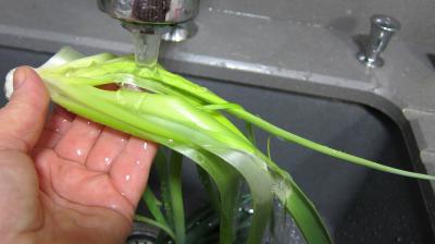 Bouillon de légumes à l'oignon rouge - 1.3