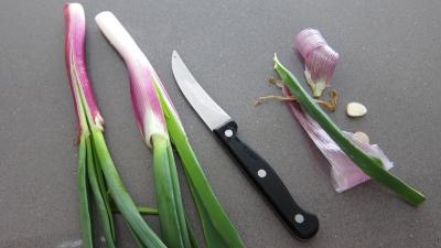 Bouillon de légumes à l'oignon rouge - 3.2