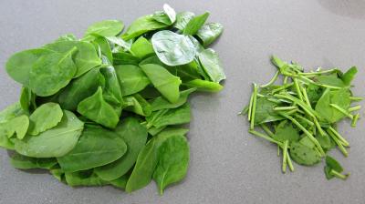 Noix saint Jacques en salade - 1.1