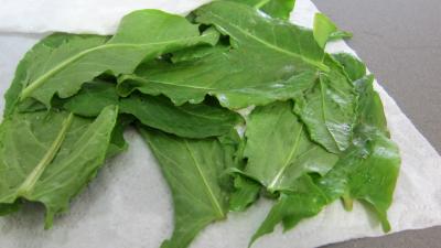 Pousses de bambou en salade - 5.3
