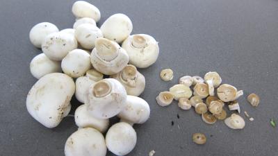 Tarte croustillante aux légumes - 2.1