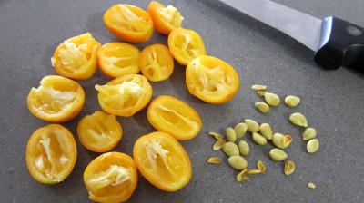 Sauce mayonnaise aux kumquats - 2.2