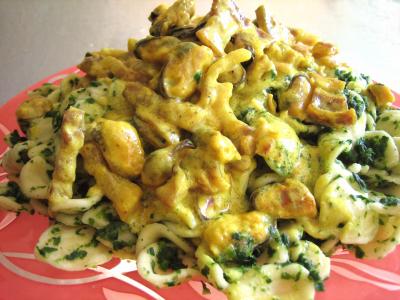 Pâtes alimentaires : Assiettes d'orecchiettes aux moules