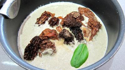 Escalopes de dinde sauce aux morilles - 6.4