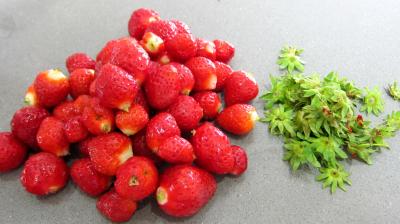 Riz noir aux fraises et crème à la noix de coco - 4.2