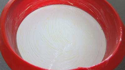 Gâteau aux abricots - 5.1