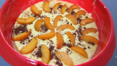 Gâteau aux abricots - 5.3