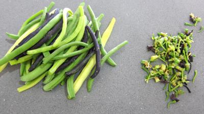 Courgette spaghetti au coulis de pignons de pin - 2.3