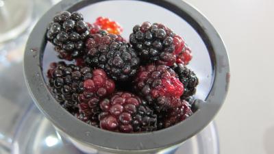 Chutney de mûres aux pommes - 3.1