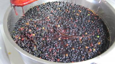 Confiture de baies de sureau - 3.2