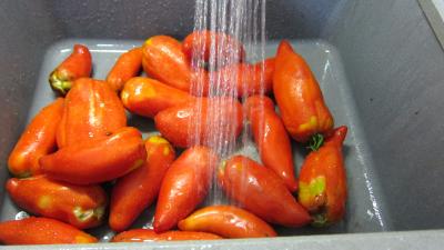 Sauce tomates aux olives (conserve) - 2.2