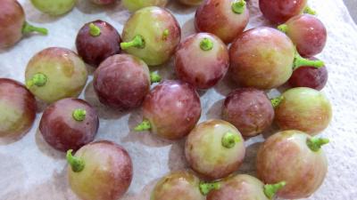 Raisins à l'eau de vie et épices - 1.2