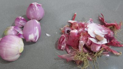 Conserves de tomates aux champignons - 1.2