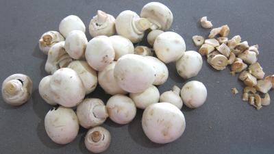 Conserve de sauce tomate au blanc de dinde - 2.2