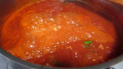 Conserve de sauce tomate au blanc de dinde - 10.1