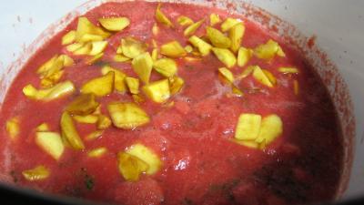 Chutney aux tomates (conserves) - 7.1