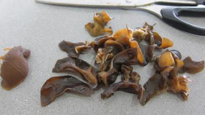 Sauce tomate aux champignons noirs (conserves) - 1.2