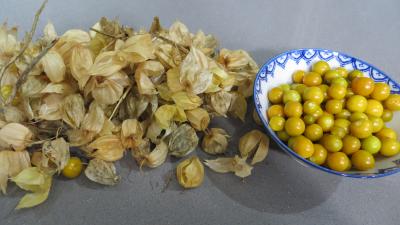 Confiture de physalis ou "d'amour en cage" - 1.2