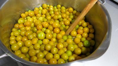 Confiture de physalis ou "d'amour en cage" - 4.3