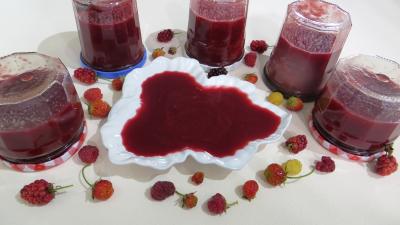 Recettes sans oeufs : Coupelle de coulis de fruits rouges