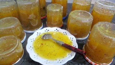 Confitures : Coupelle de marmelade de kiwis et de fruits d'hiver