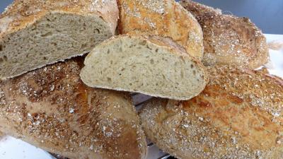Pains & pâtes : Pains au cidre