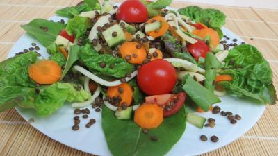 Légumes : Plat de lentilles en salade