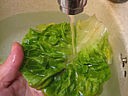 Foies de volaille en salade - 9.2