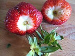 Fraises et mangue au caramel - 5.2