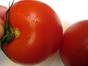 Conserve de tomates - 2.3